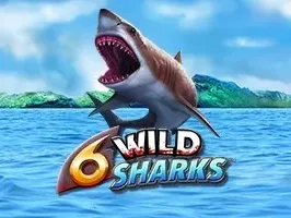 6 Wild Sharks game thumbnail